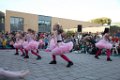 Schoolplein Festival B 336
